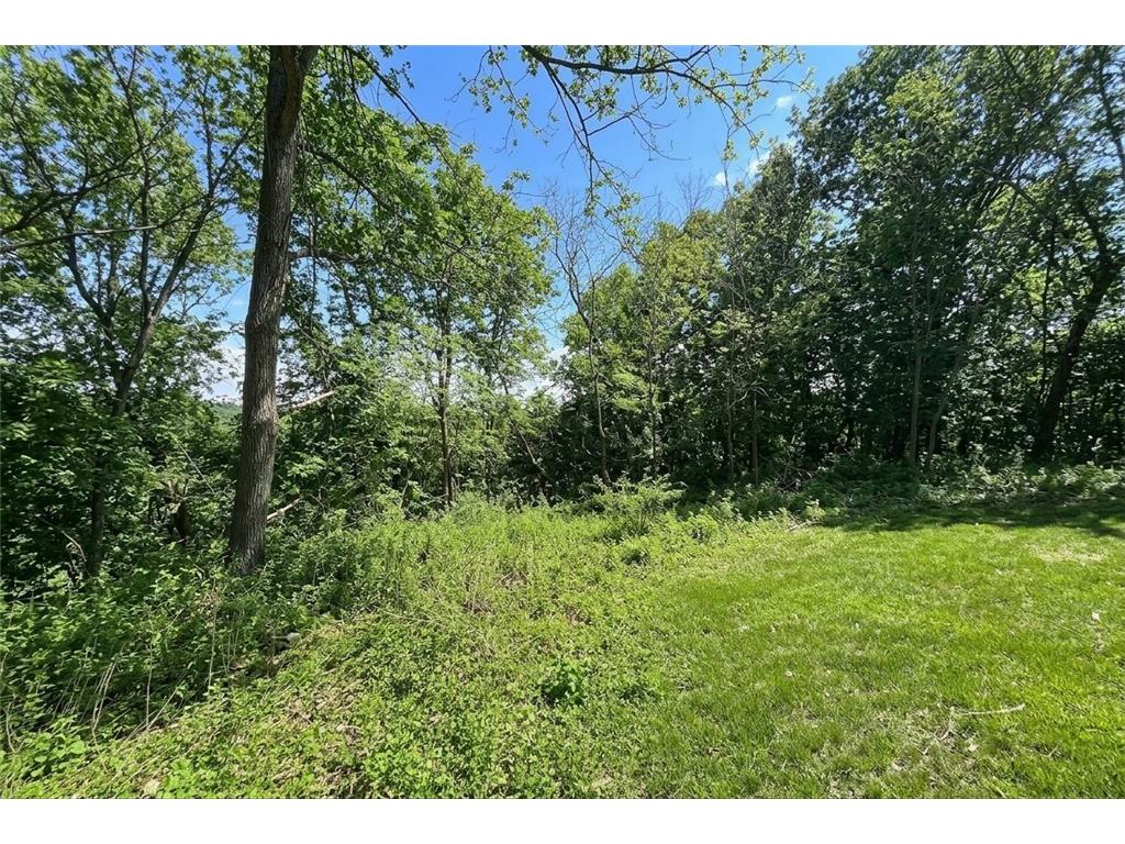 1407 Mineral Springs Parkway NE Owatonna MN 55060 7019650 image8