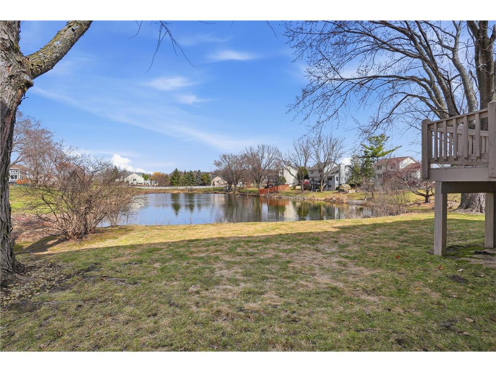 14075 Dartmouth Path Rosemount MN 55068 7046784 image43