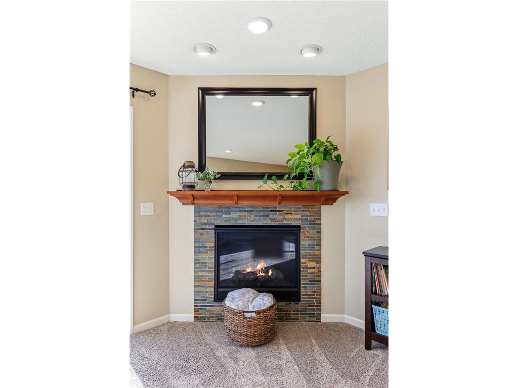 14076 Addison Avenue Rosemount MN 55068 7053851 image15