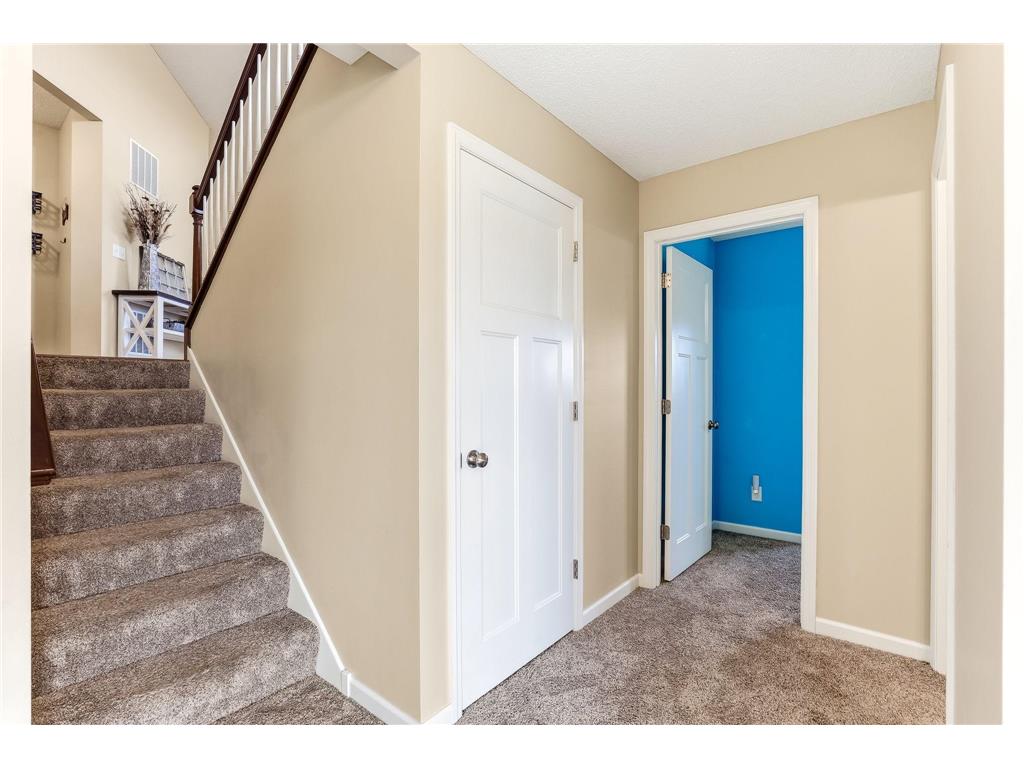 14076 Addison Avenue Rosemount MN 55068 7053851 image27