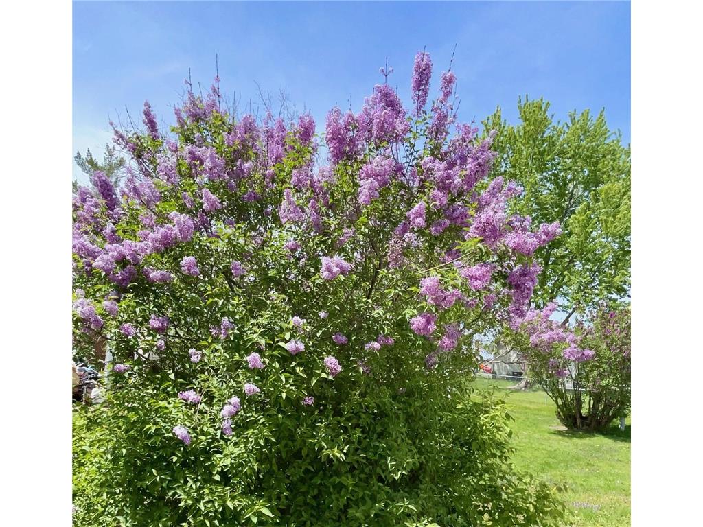 1408 11th Avenue NW Austin MN 55912 7072020 image26