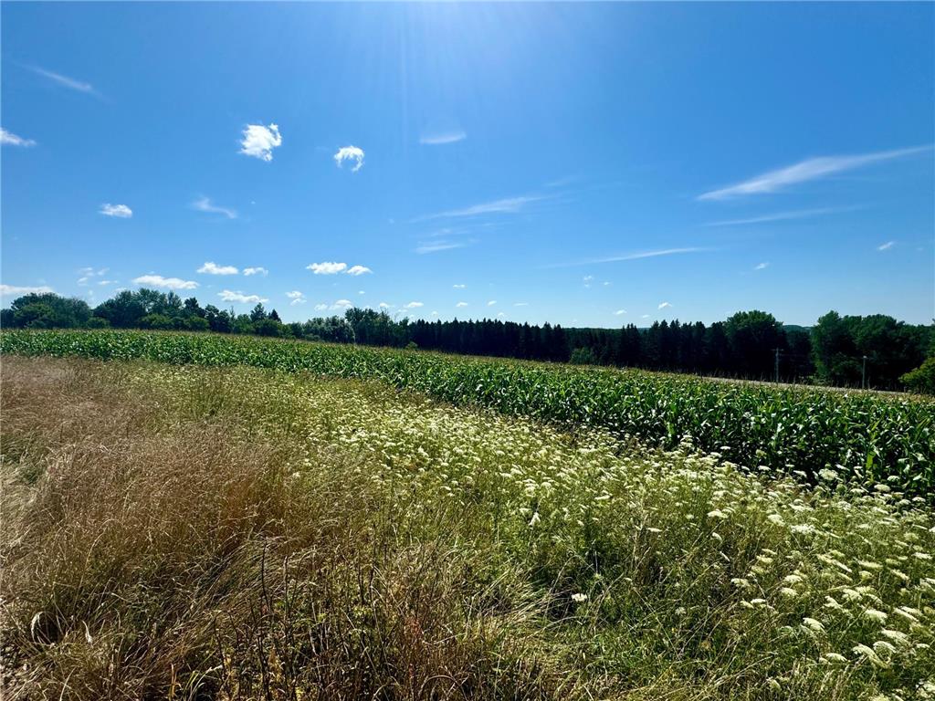 1409 300th Street Glenwood City WI 54013 6579111 image1