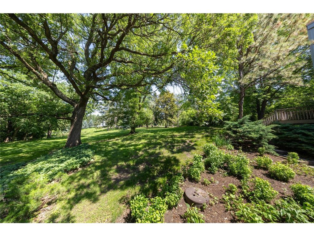 1409 Weatherhill Court SW Rochester Twp MN 55902 7023907 image68