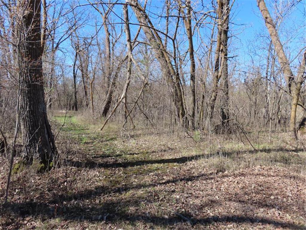 14091 180th Street NE North Twp MN 56701 - Thief River 7073375 image34