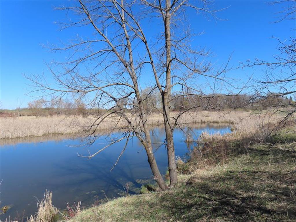 14091 180th Street NE North Twp MN 56701 - Thief River 7073375 image37