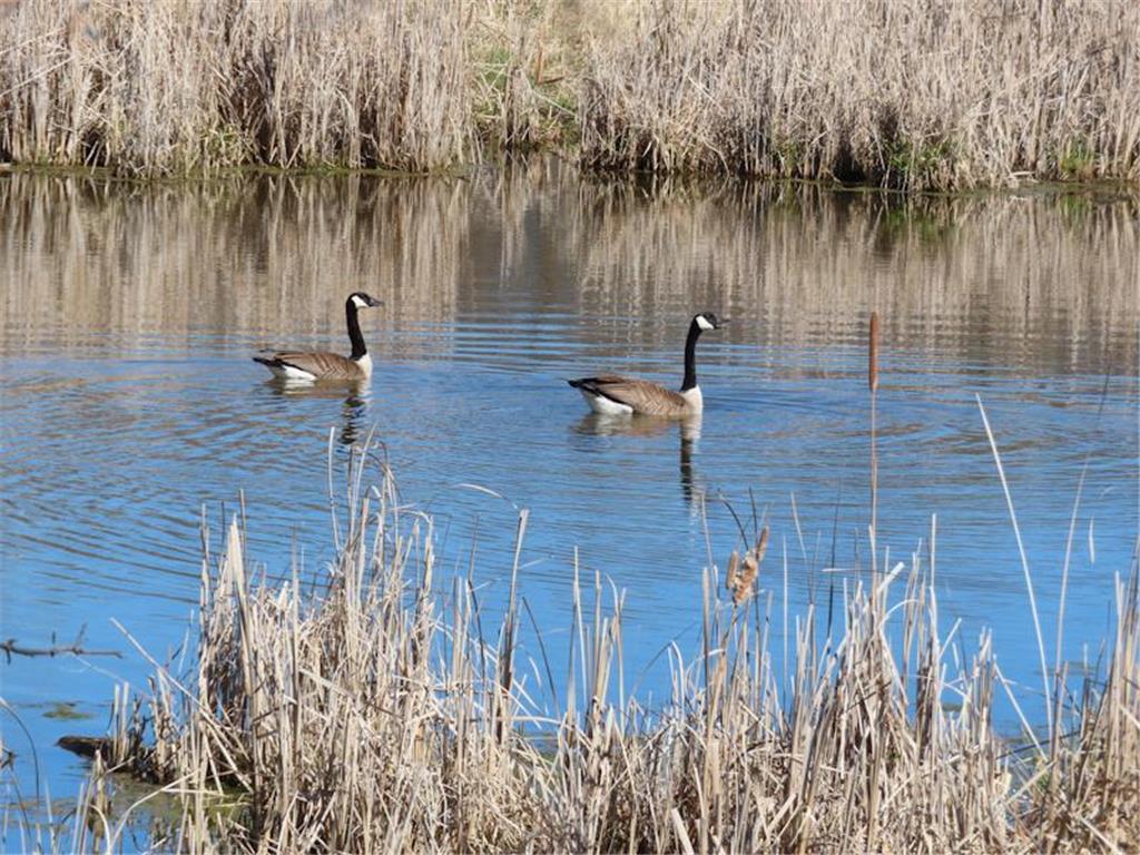 14091 180th Street NE North Twp MN 56701 - Thief River 7073375 image38