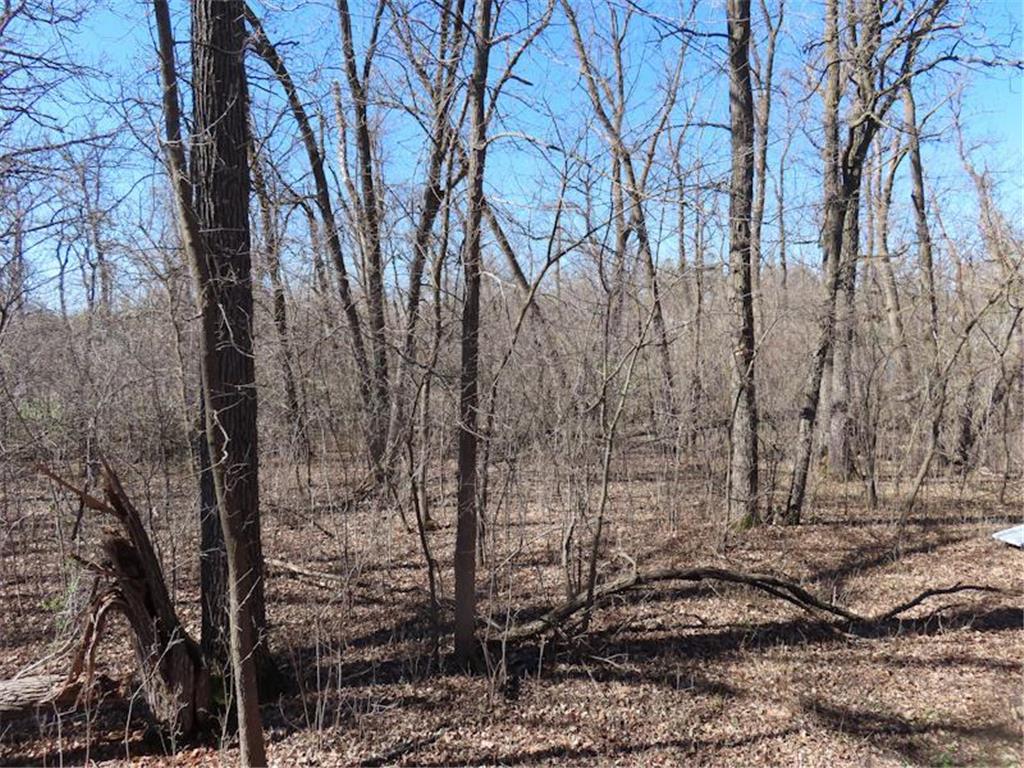 14091 180th Street NE North Twp MN 56701 - Thief River 7073375 image6