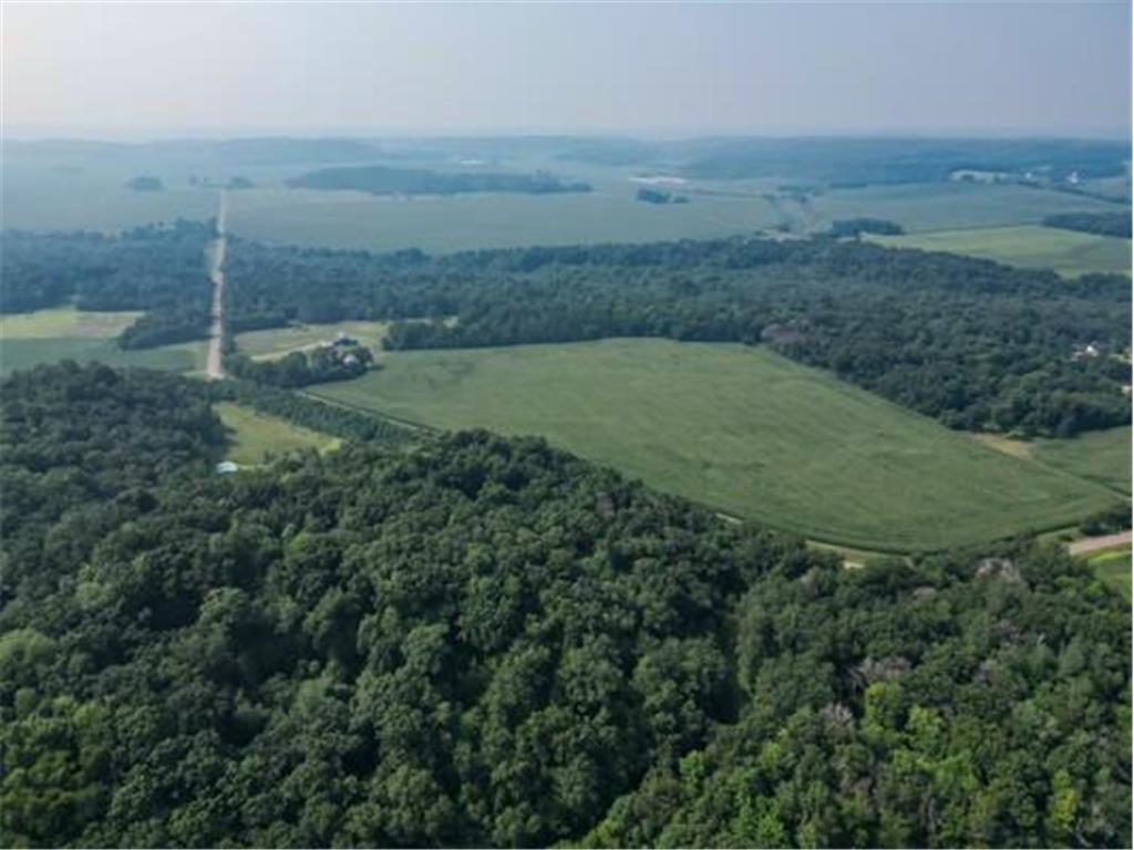 141 17 3/4 18 1/2 Street Dallas WI 54733 6765834 image59