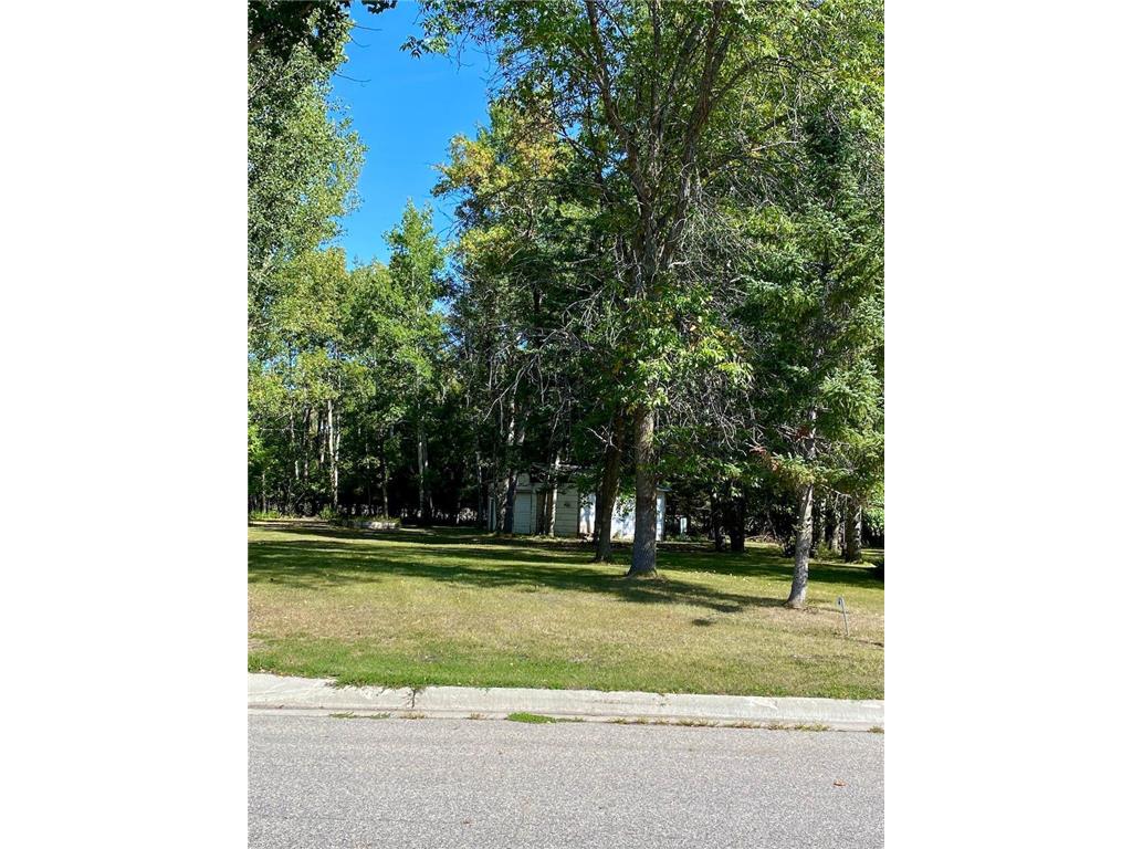 141 Willow Road Thief River Falls MN 56701 6433411 image1