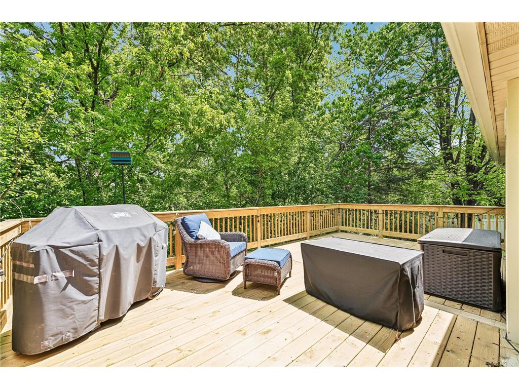 1410 Appaloosa Trail Eagan MN 55122 6815616 image45