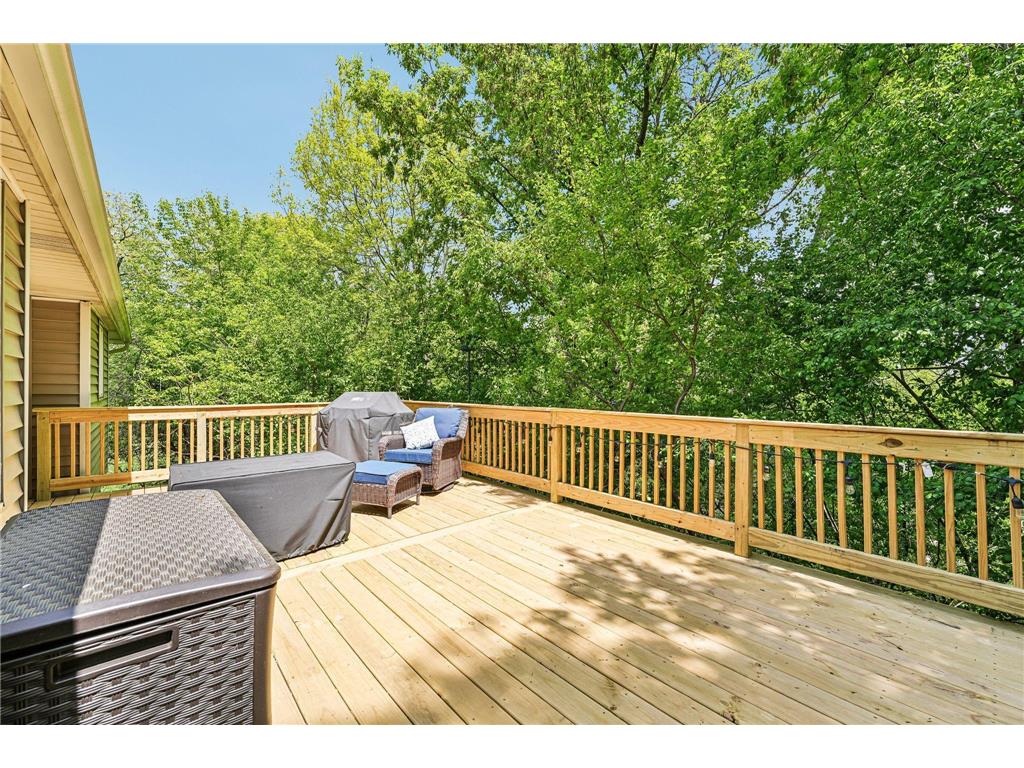 1410 Appaloosa Trail Eagan MN 55122 6815616 image46