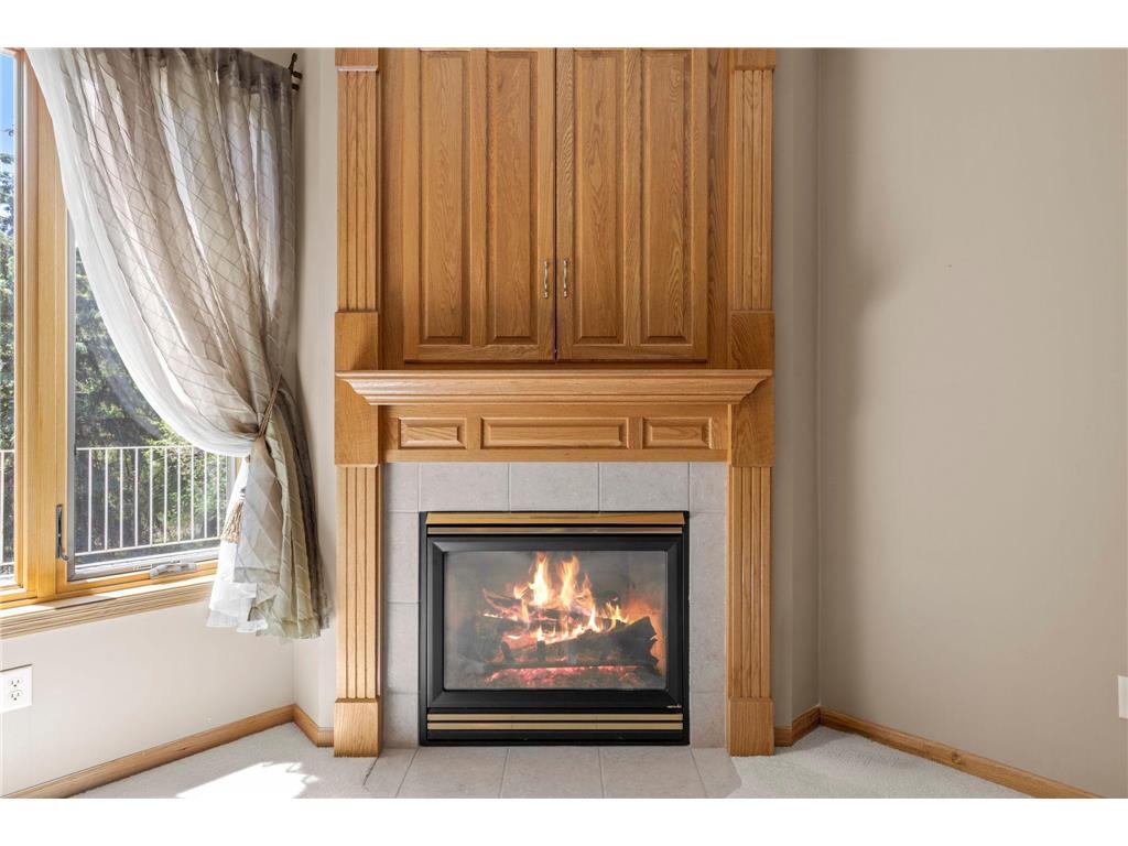 14100 Butternut Street NW Andover MN 55304 7074561 image17