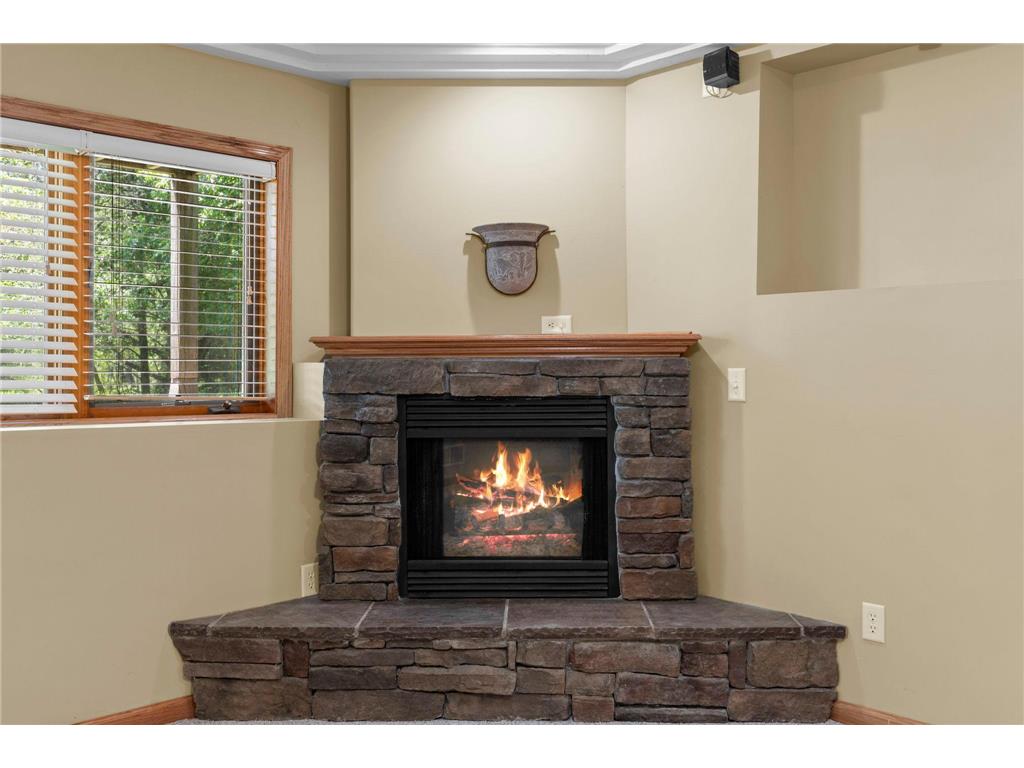 14100 Butternut Street NW Andover MN 55304 7074561 image45