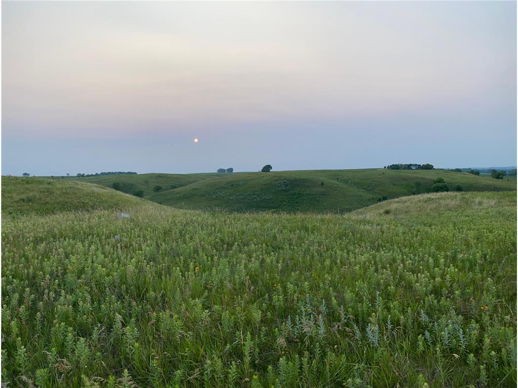 14101 Pelican Ridge Big Stone City SD 57216 - Big Stone Lake 7013430 image3