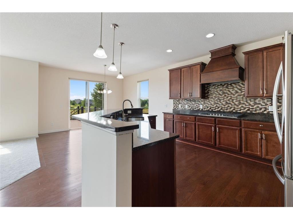 14111 Abercorn Avenue Rosemount MN 55068 6822150 image11