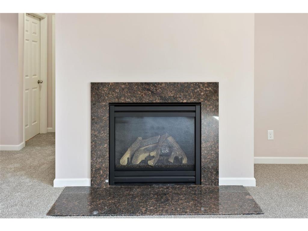 14111 Abercorn Avenue Rosemount MN 55068 6822150 image39