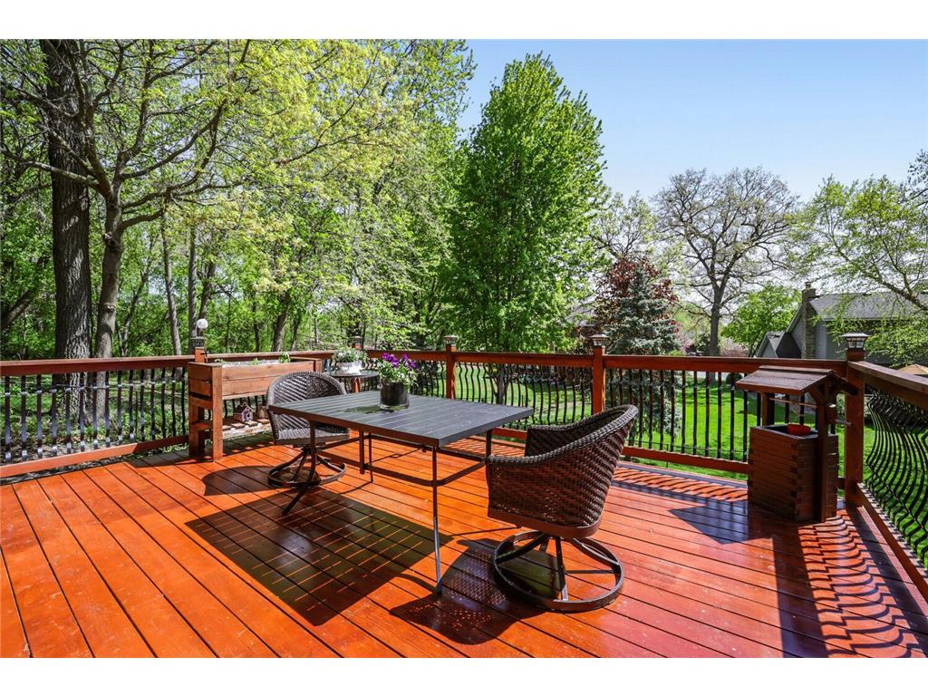 1412 Rushmore Crescent Burnsville MN 55306 7062513 image16