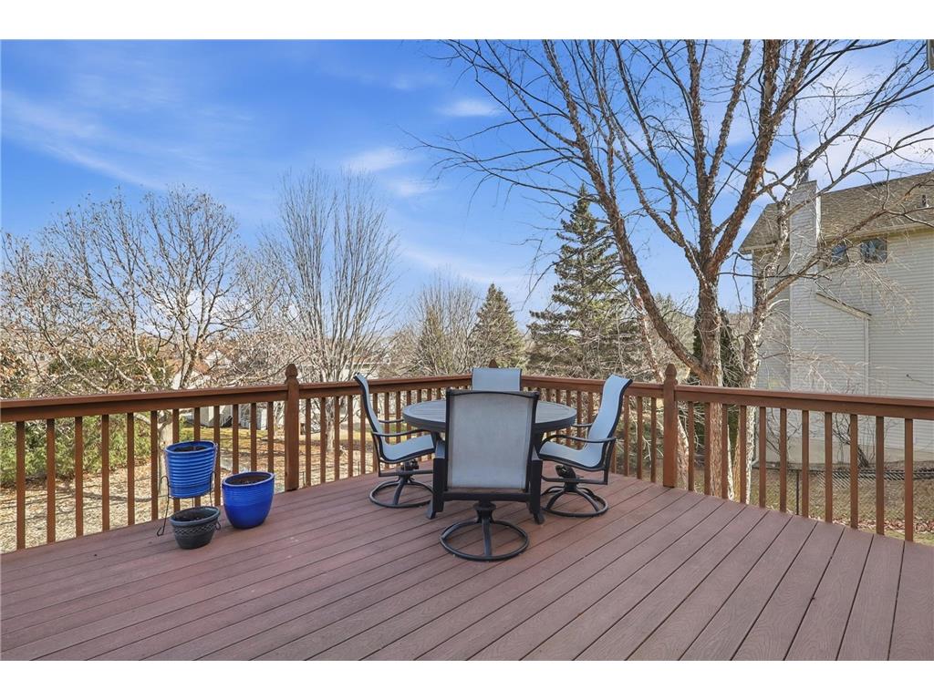 14125 Crocus Way Rosemount MN 55068 7039943 image16