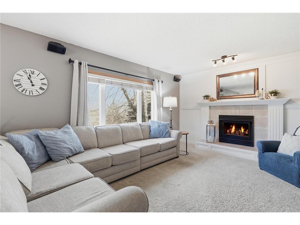 14125 Crocus Way Rosemount MN 55068 7039943 image19