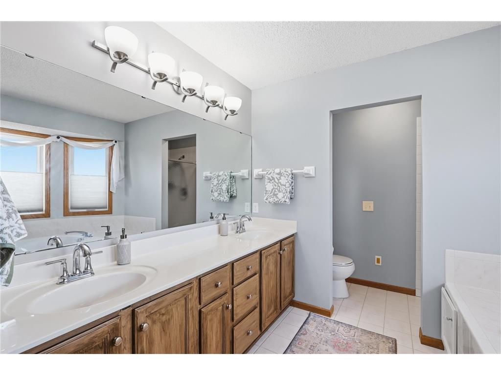 14125 Crocus Way Rosemount MN 55068 7039943 image28