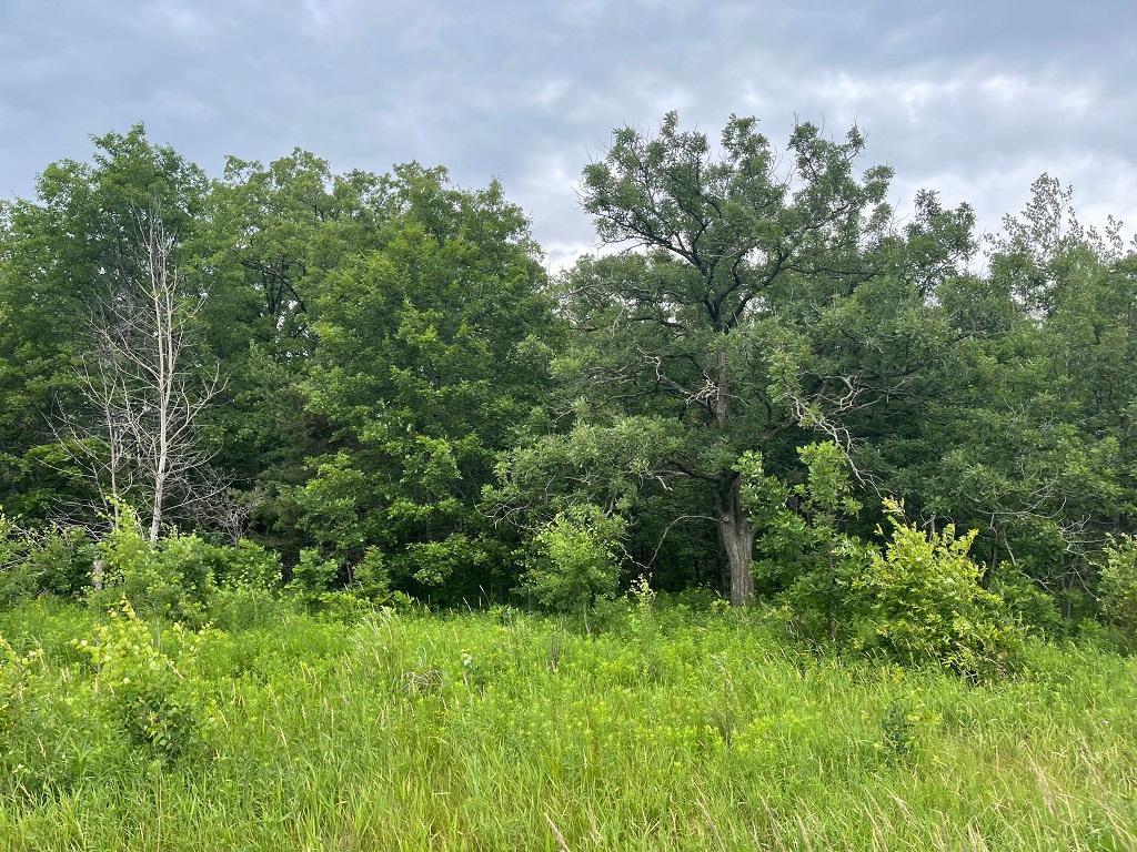 XXX State Highway 18 Brainerd MN 56401 6478041 image1