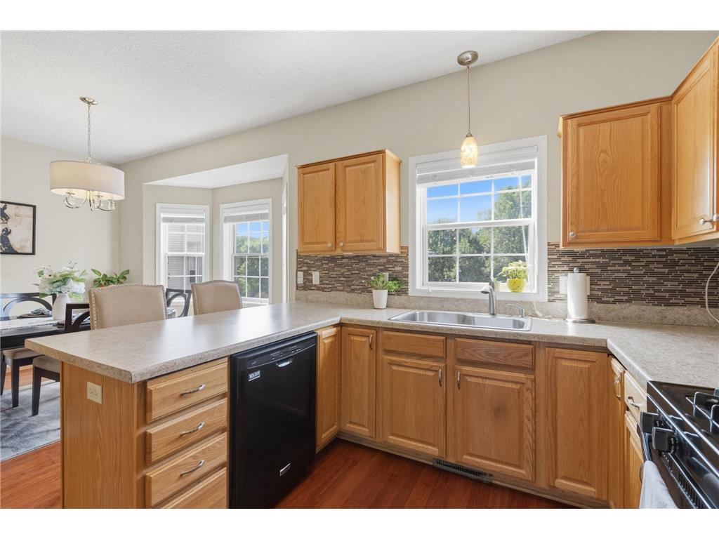 14149 43rd Avenue N Plymouth MN 55446 7073378 image6