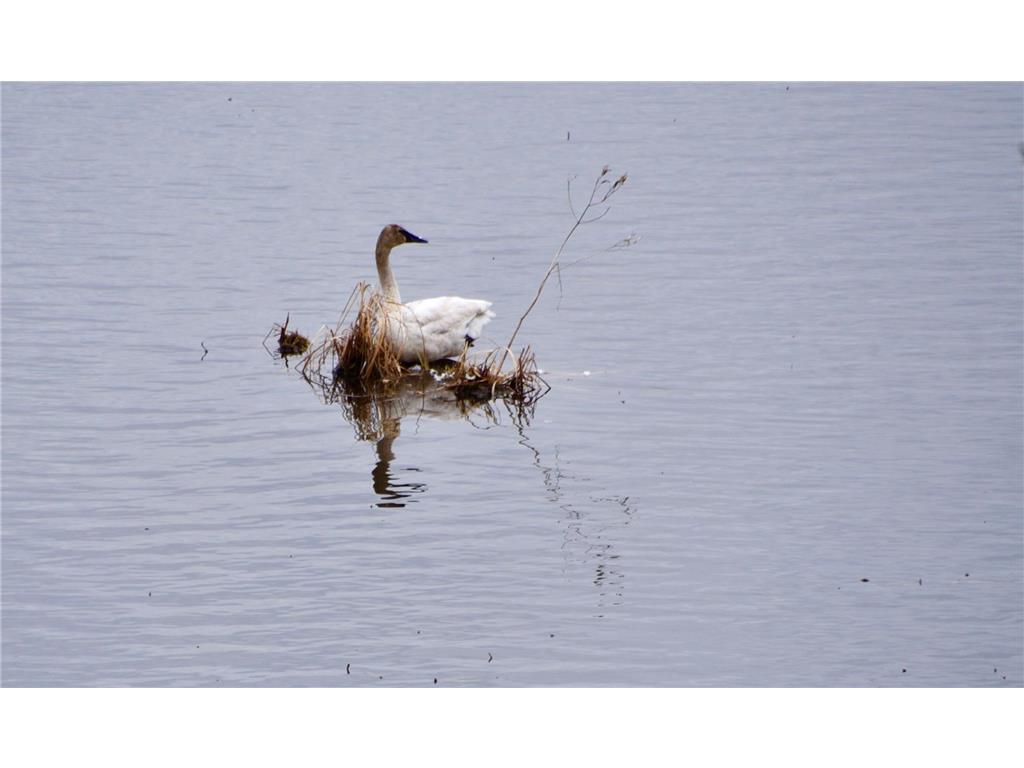 1415 223rd Avenue Ogilvie MN 56358 - Ann 6810211 image42