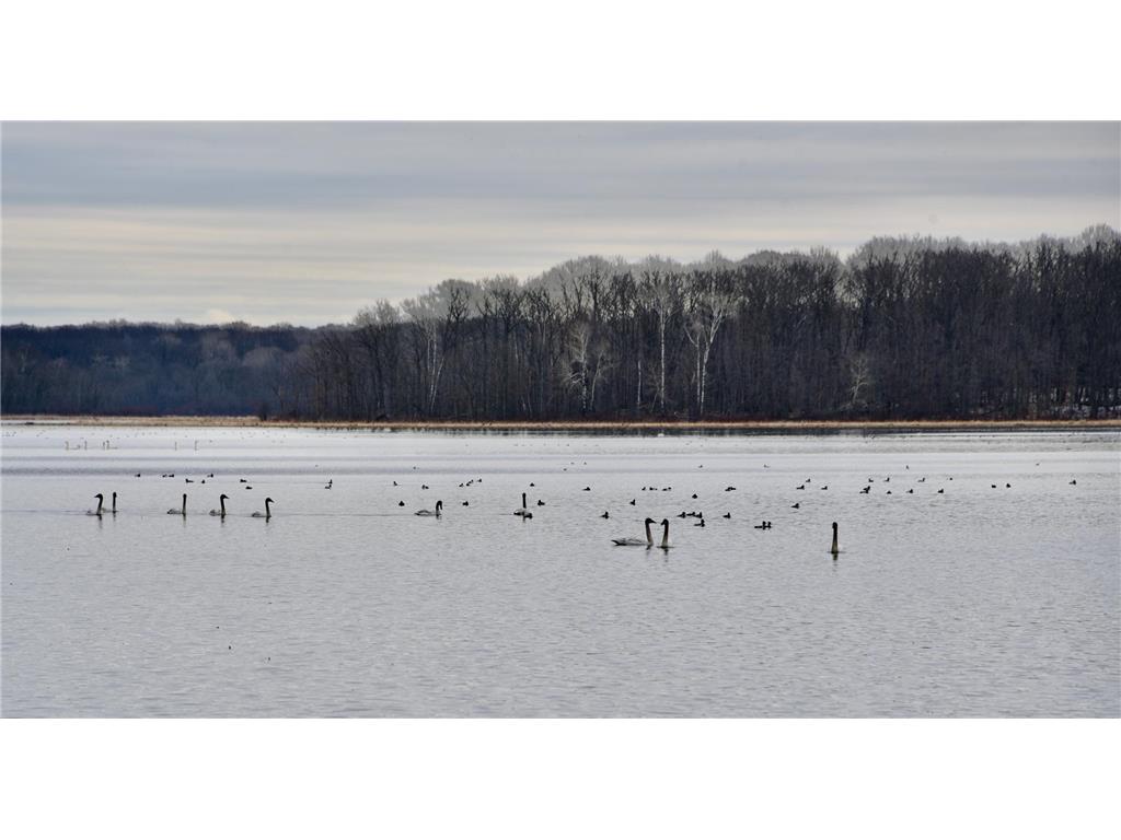 1415 223rd Avenue Ogilvie MN 56358 - Ann 6810211 image49