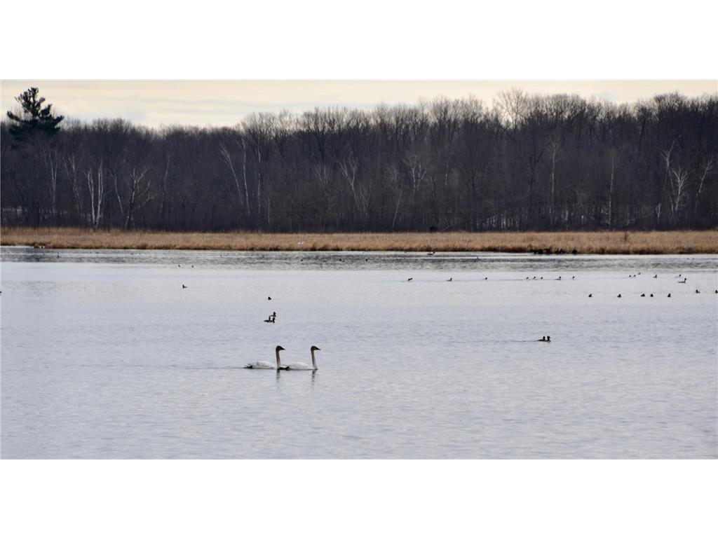 1415 223rd Avenue Ogilvie MN 56358 - Ann 6810211 image50