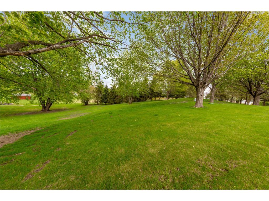 14159 Summit Lane Woodville Twp MN 56093 7013371 image50
