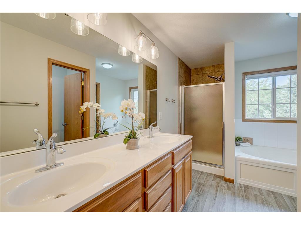 14171 Fountain Hills Court NE Prior Lake MN 55372 7105922 image17