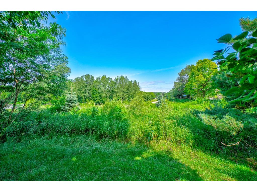 14171 Fountain Hills Court NE Prior Lake MN 55372 7105922 image23