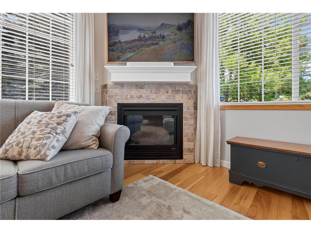 14179 Avalon Path #103 Rosemount MN 55068 7107351 image9