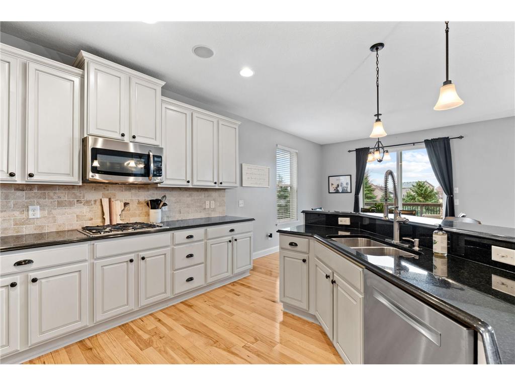 14183 Abbeyfield Court Rosemount MN 55068 7041175 image3
