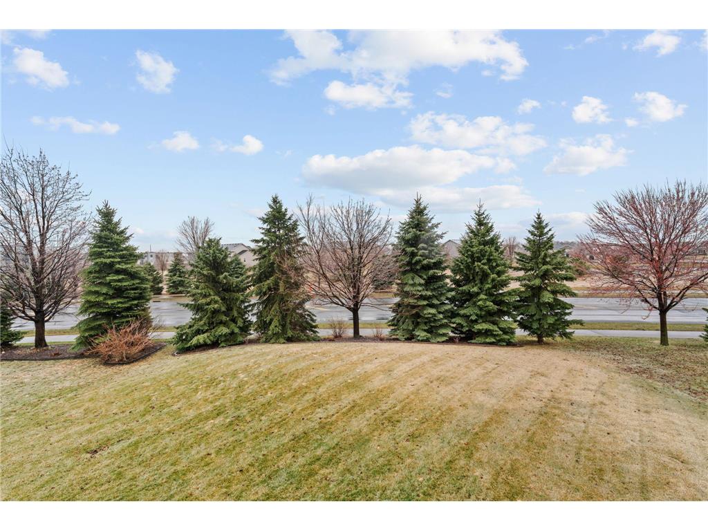14183 Abbeyfield Court Rosemount MN 55068 7041175 image40