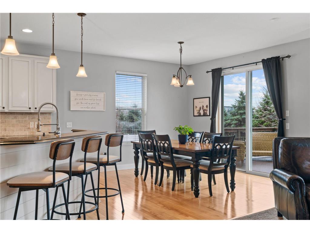 14183 Abbeyfield Court Rosemount MN 55068 7041175 image7