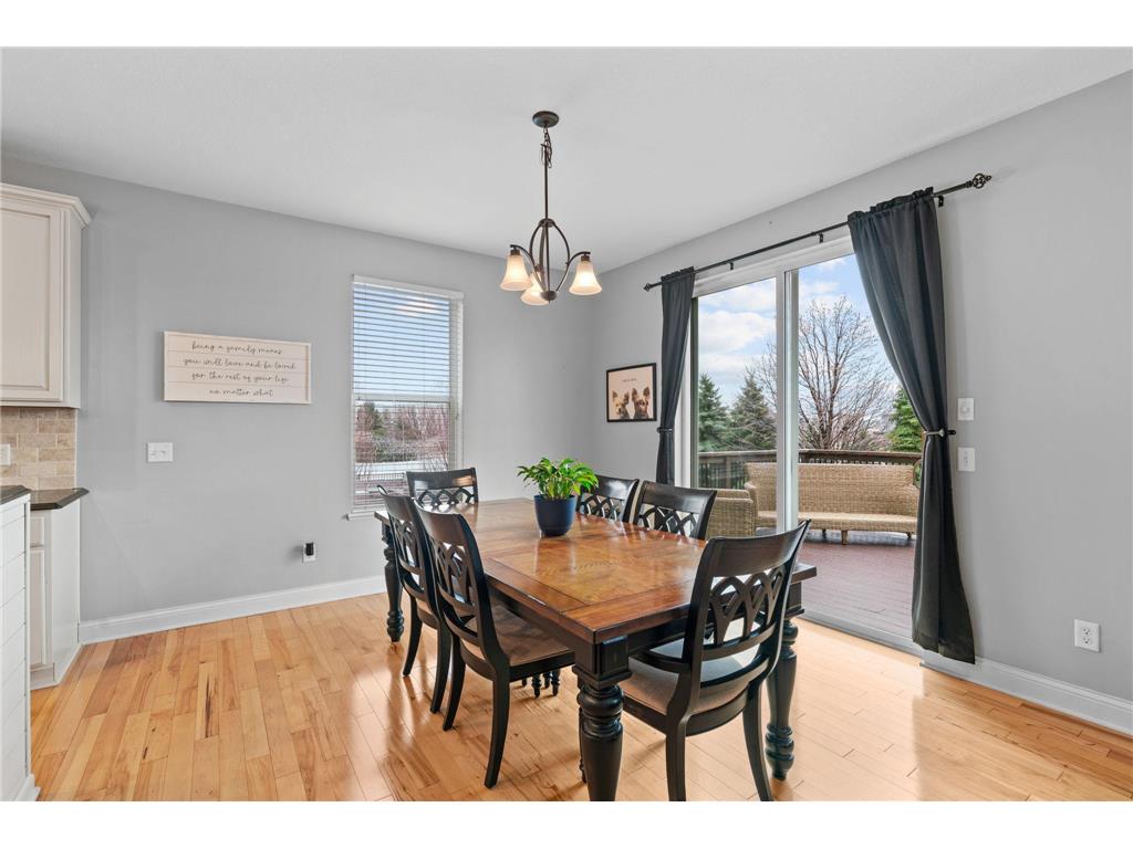 14183 Abbeyfield Court Rosemount MN 55068 7041175 image8