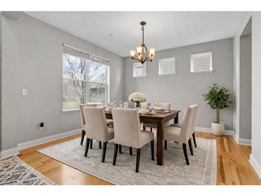 14183 Abbeyfield Court Rosemount MN 55068 7041175 image9