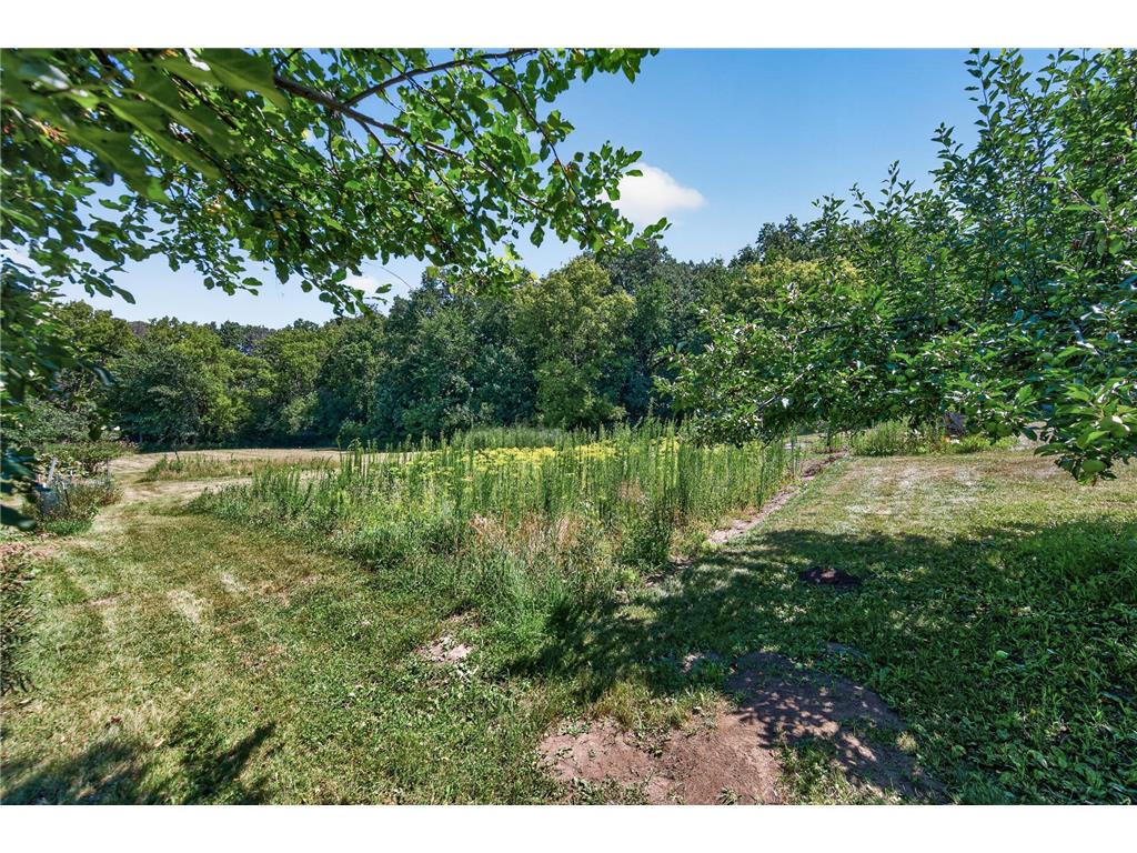 14189 70th Street S Denmark Twp MN 55033 7102328 image44
