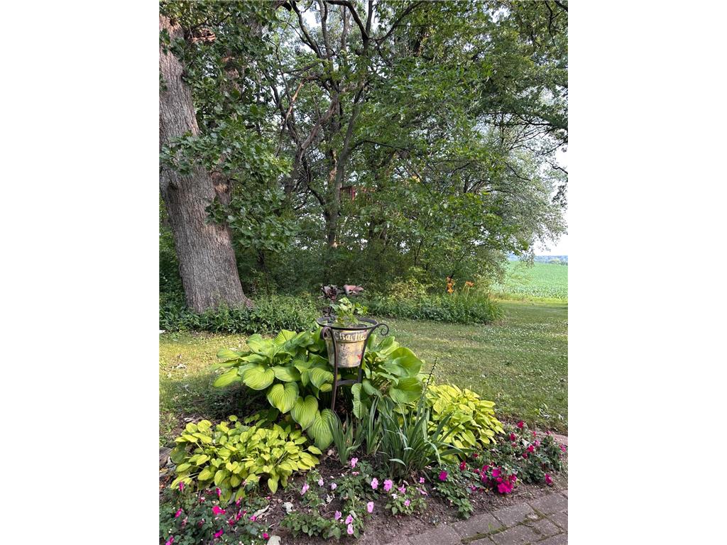 14189 70th Street S Denmark Twp MN 55033 7102328 image62