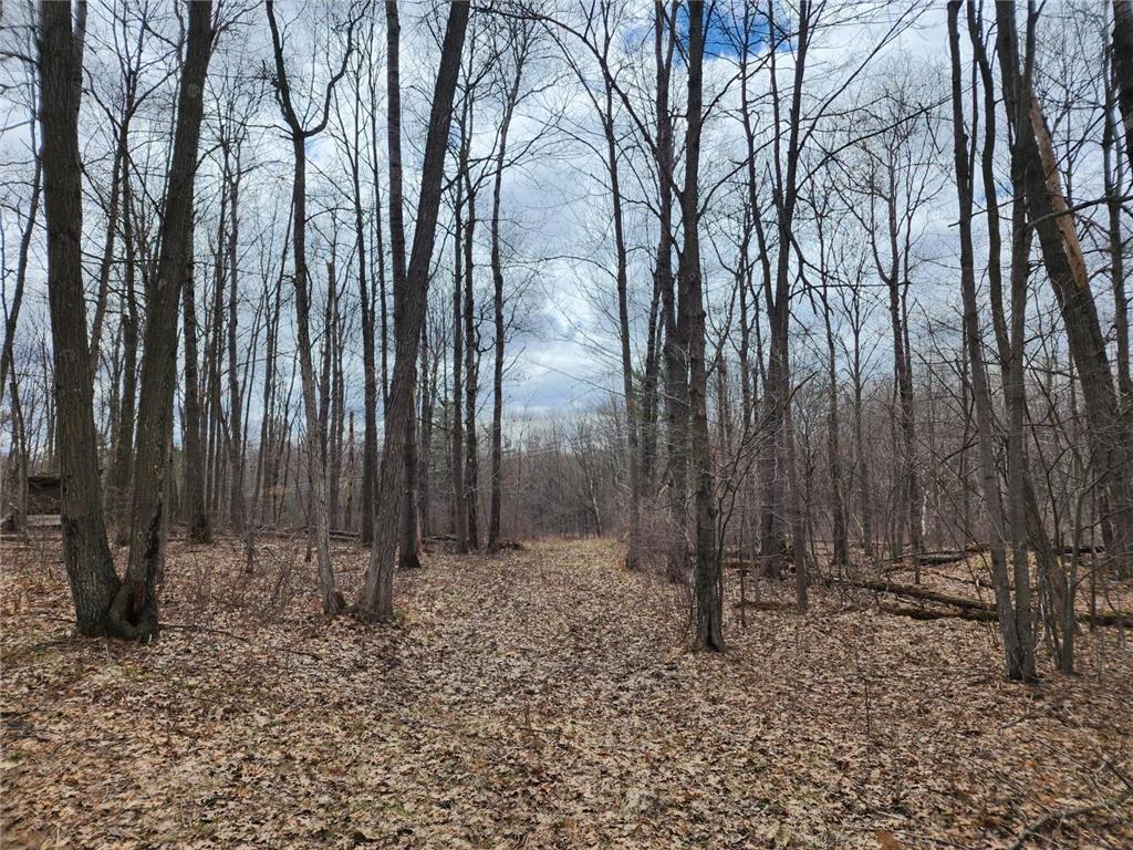 1419 21-22 1/2 Avenue Stanfold Twp WI 54868 6361657 image1