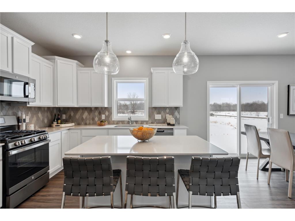 14190 Allium Court Rosemount MN 55068 6516547 image1