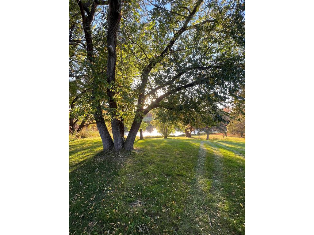 14199 Riverbend Trail Rocksbury Twp MN 56701 - Red Lake River 6701262 image3