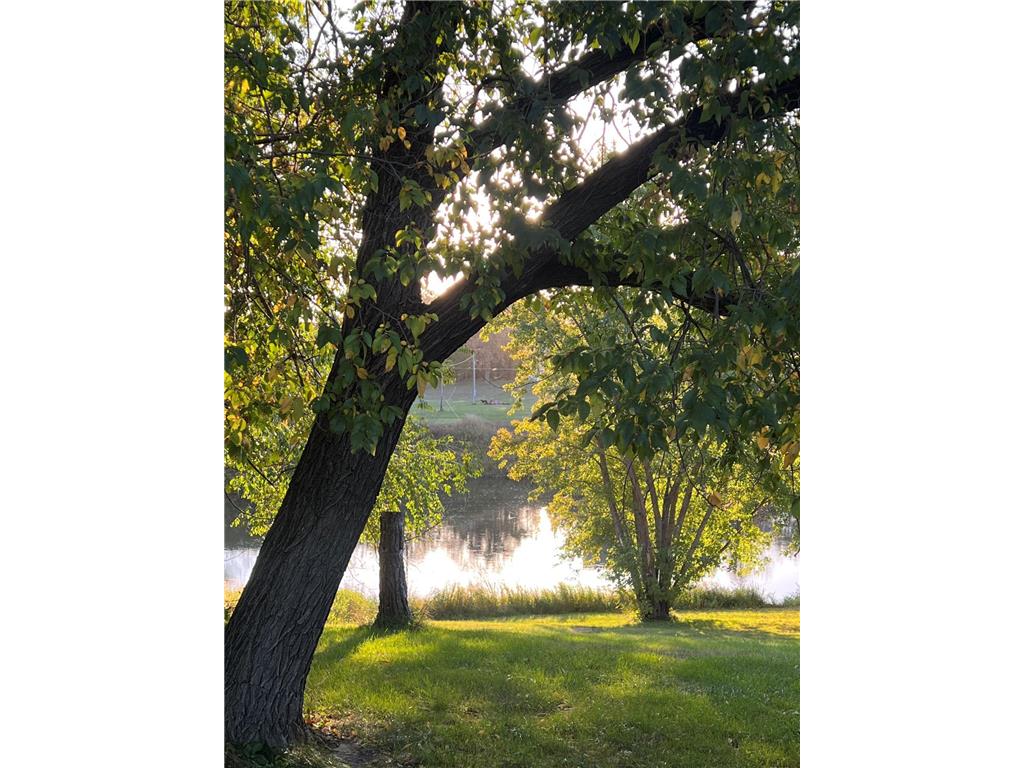 14199 Riverbend Trail Rocksbury Twp MN 56701 - Red Lake River 6701262 image6