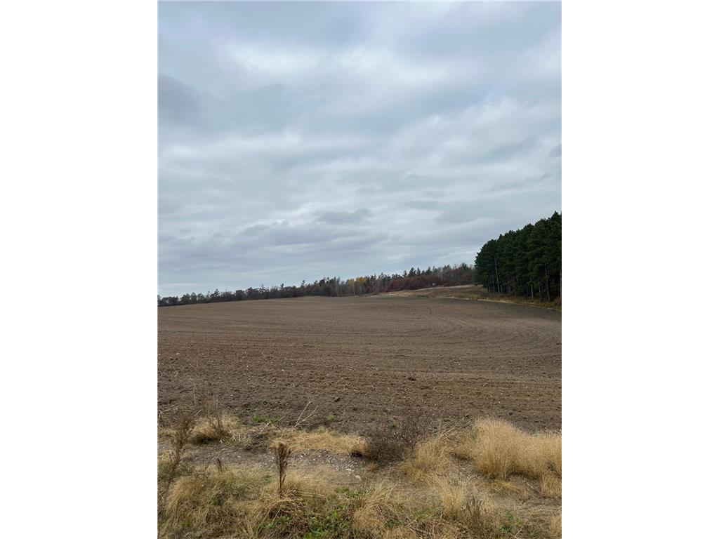 142 AC Basswood Lake Rd Ponsford MN 56575 6811245 image7