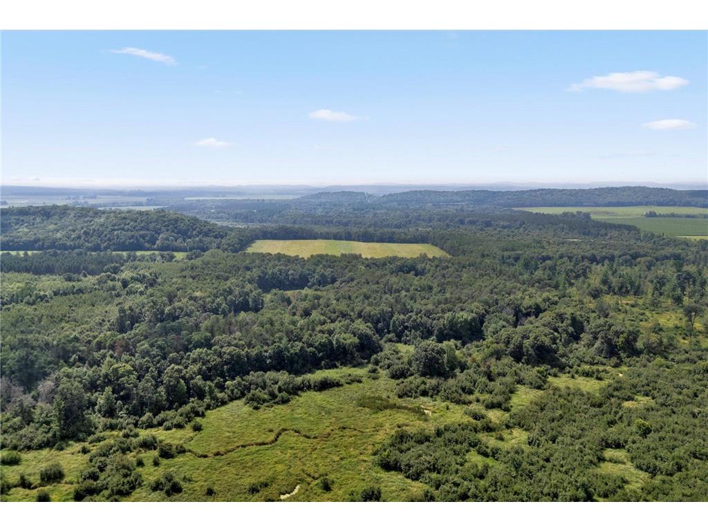 142 Acres 520th Street Hay River Twp WI 54772 6771903 image1