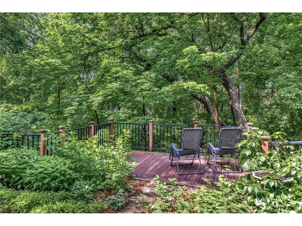 1420 Alpine Pass Golden Valley MN 55416 7084256 image4