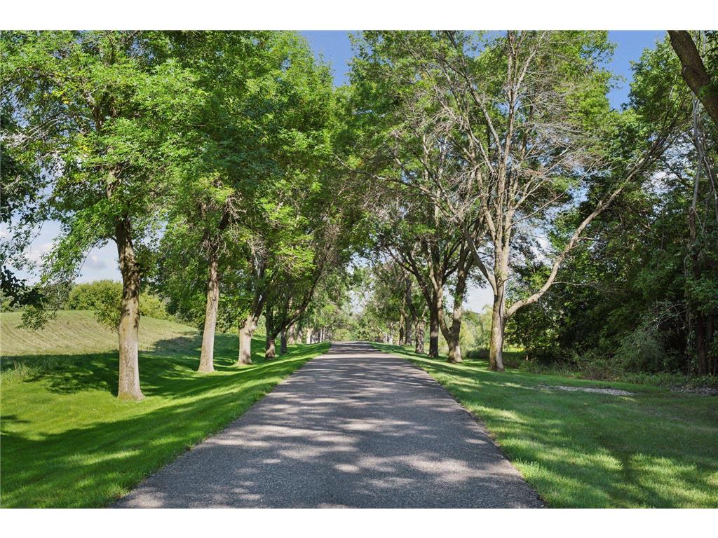 1420 Tamarack Drive Medina MN 55356 6754937 image5