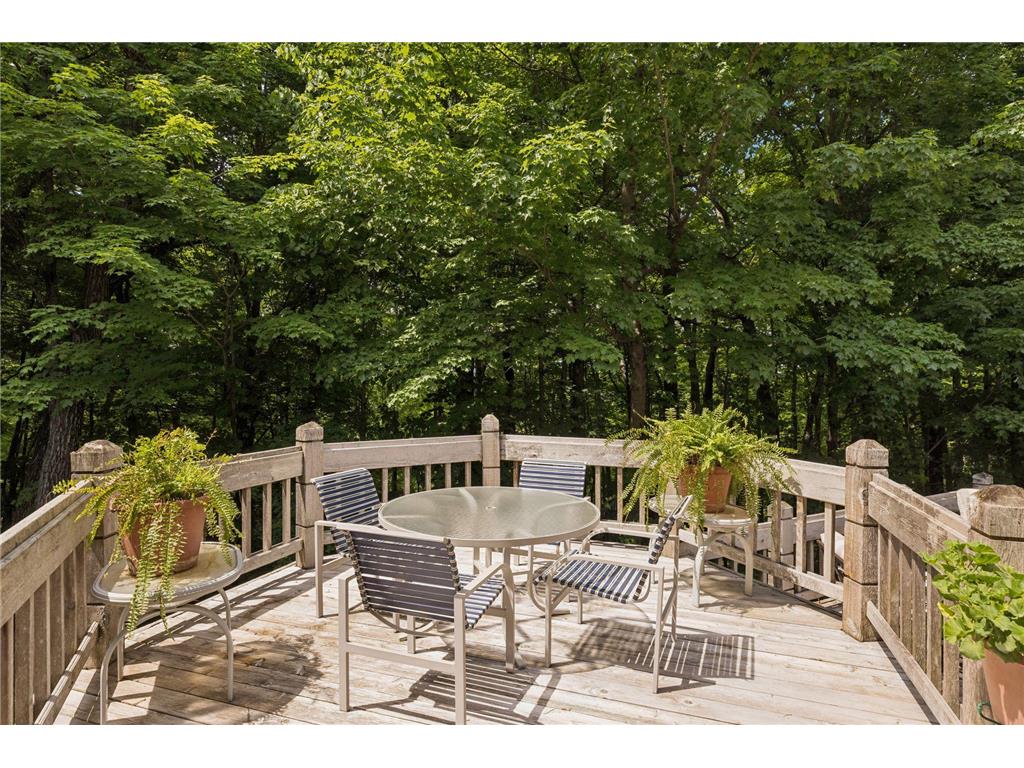 1420 Tamarack Drive Medina MN 55356 6754937 image89