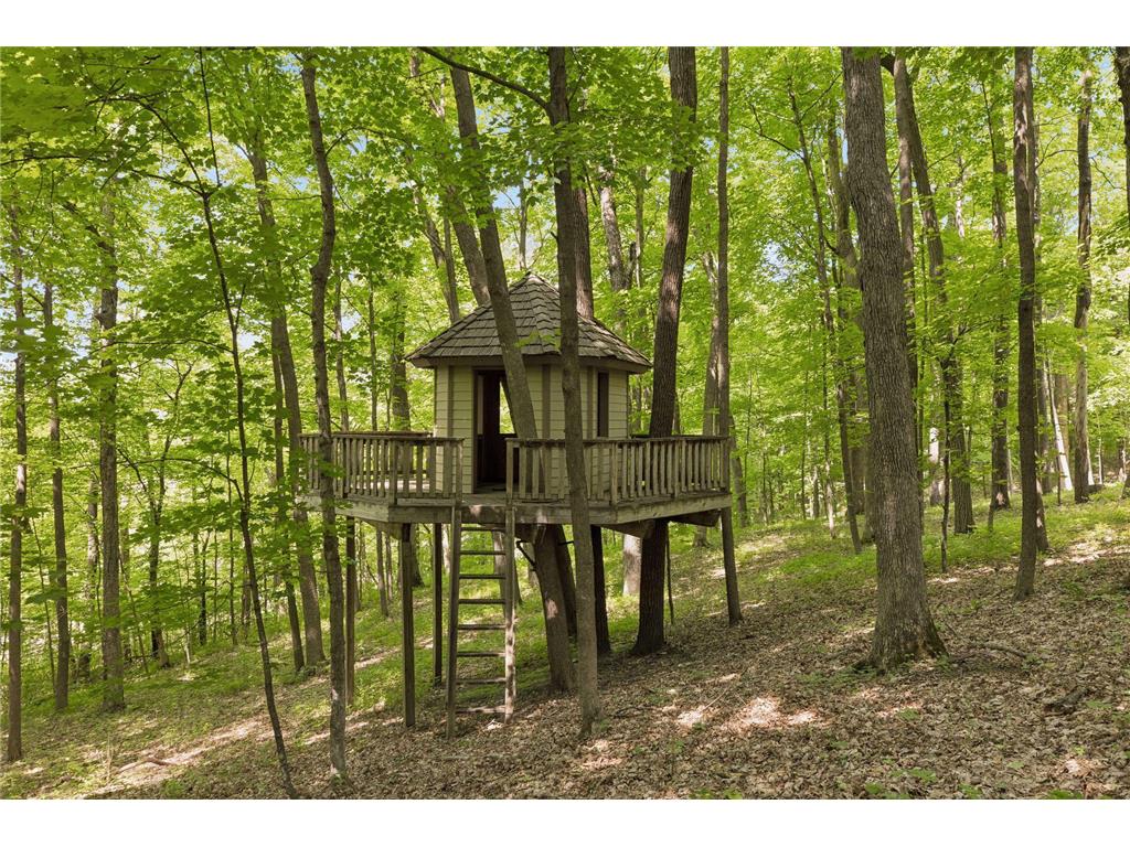 1420 Tamarack Drive Medina MN 55356 6754937 image96